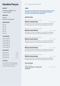 Modern CV template